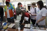 IMG_2210 copy